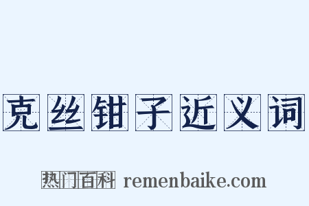 克丝钳子近义词是什么意思的图片